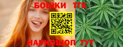 гидропоника Партизанск