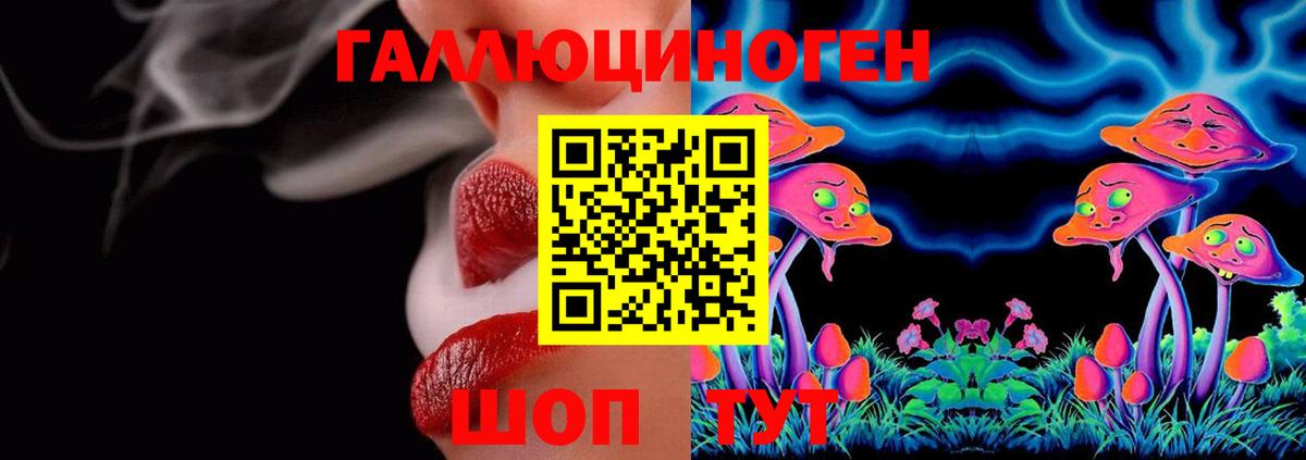 Сосновый Бор  Галлюциногенные грибы ЛСД  Вход с VPN 